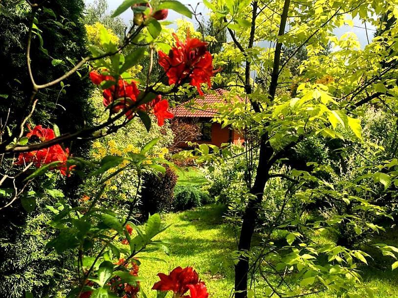 Secret Garden Residence Пашкувка Екстер'єр фото