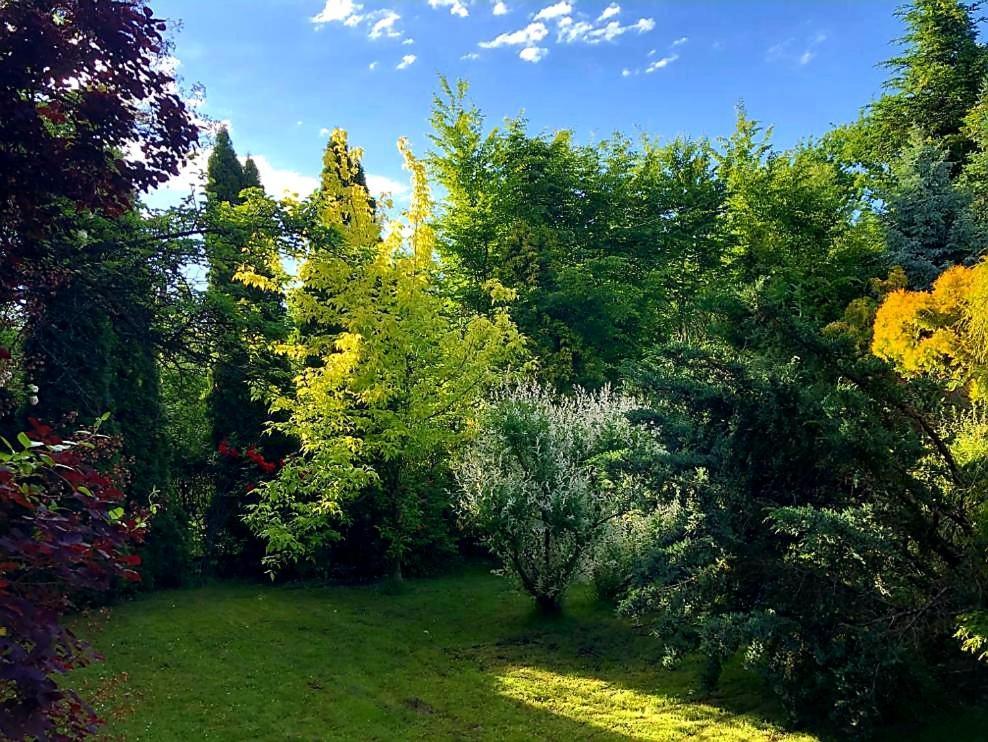 Secret Garden Residence Пашкувка Екстер'єр фото